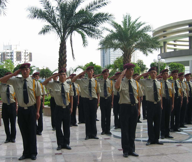 �ɹ�����14