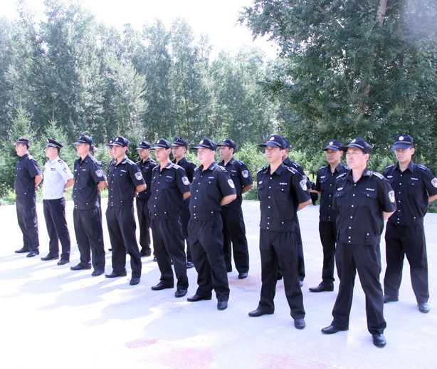 �ɹ�����11